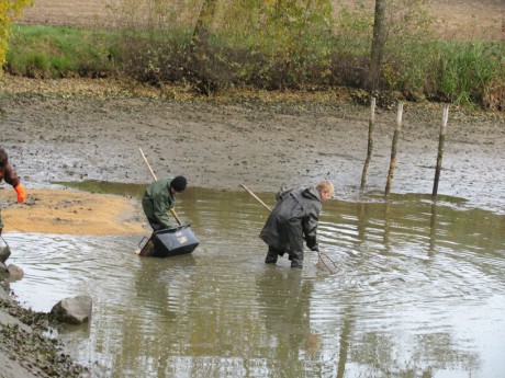 Vžlov 2011 (9)