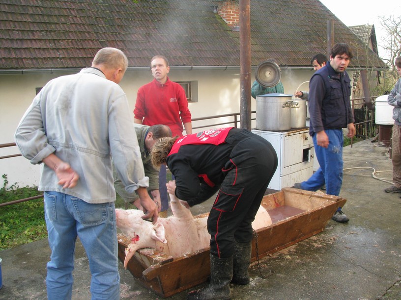 Zabijačka 2009.jpg