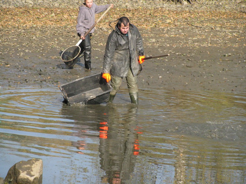 Výlov 2010 (11)