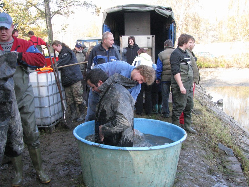 Výlov 2010 (51)