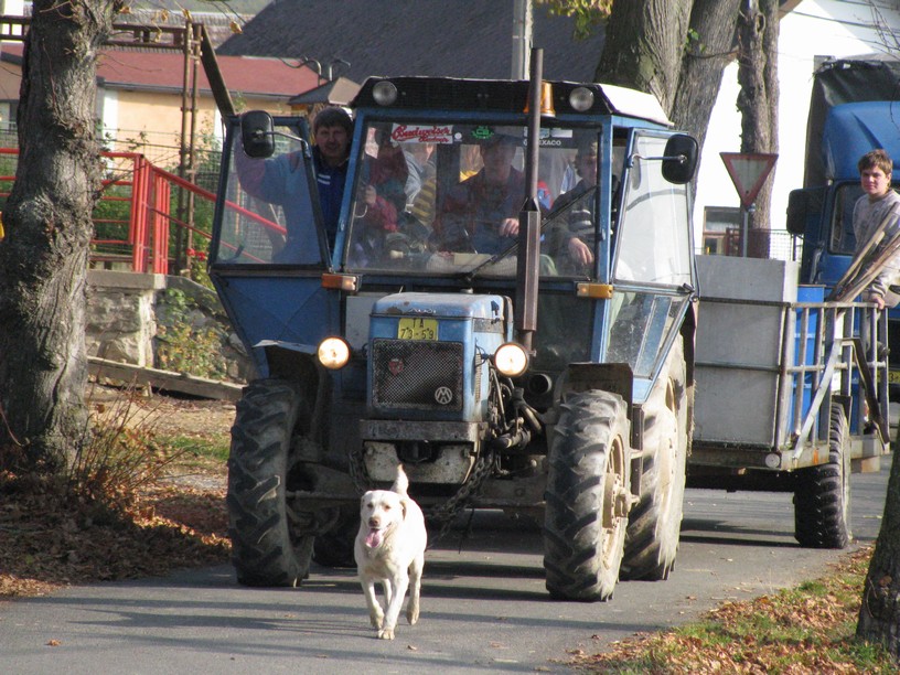 Výlov 2010 (52)