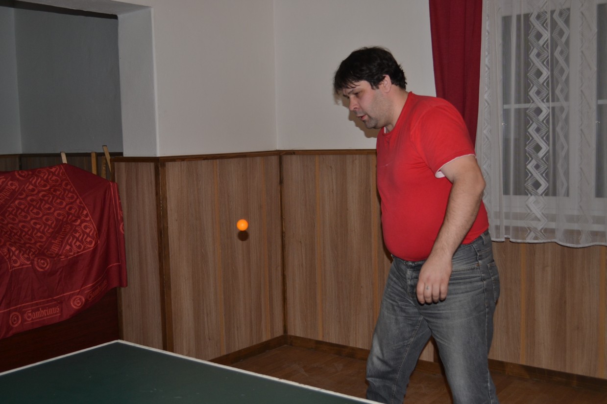 Turnaj ve stolním tenise 2015 (14)